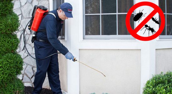 Biga Fare İlaçlama böcek ilaçlama ve haşere kontrolü — ilaclama-tr.com